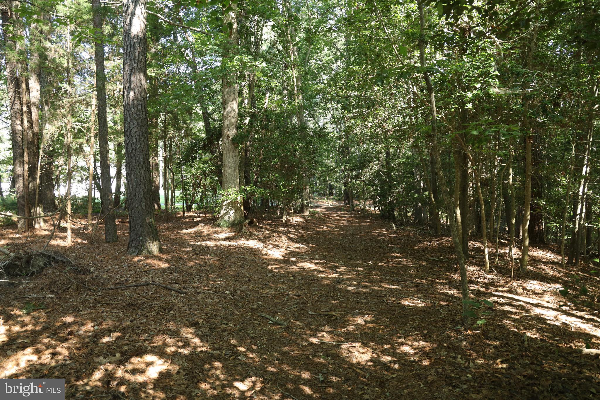 NONE AVAILABLE - Land