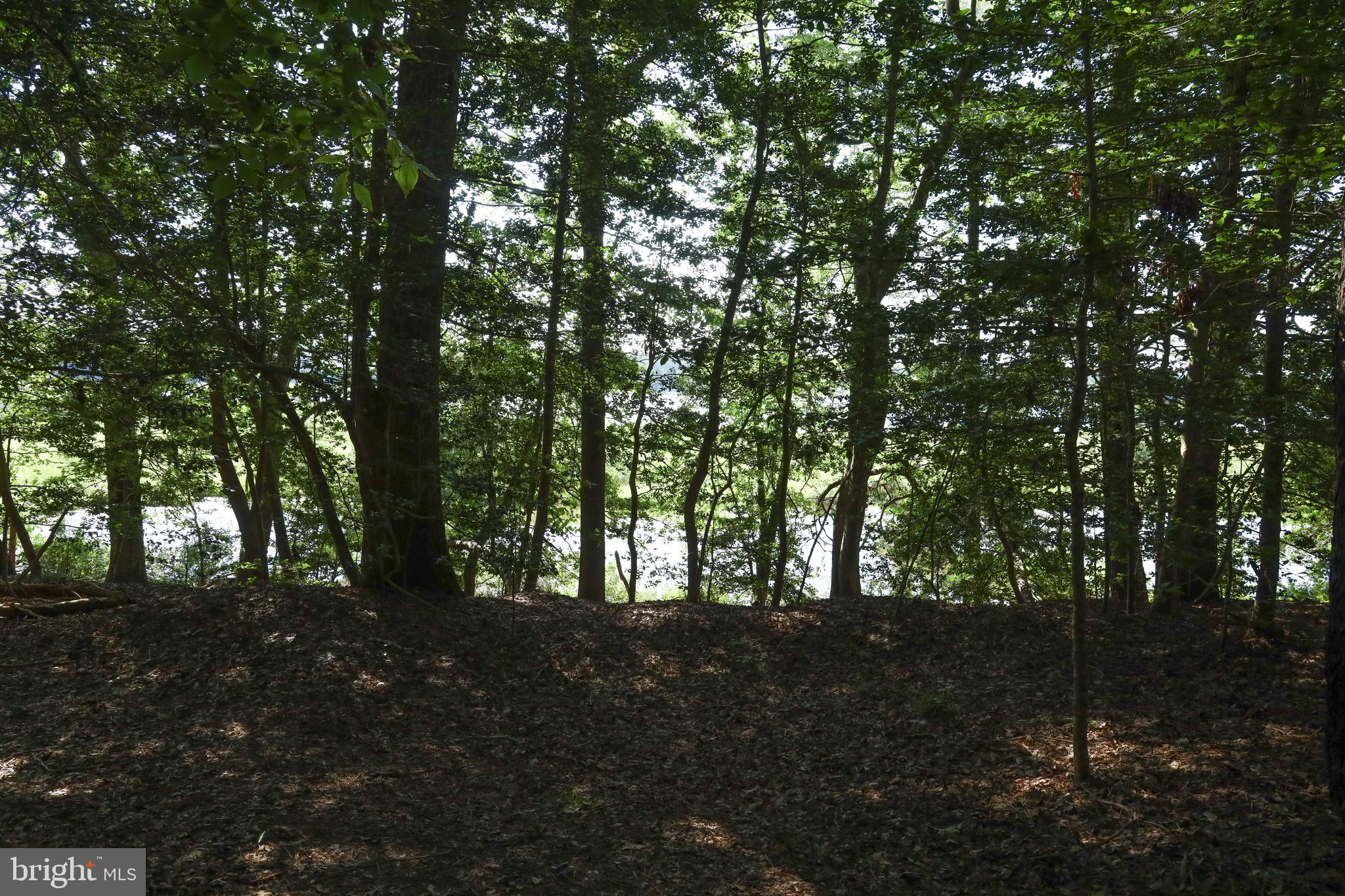 NONE AVAILABLE - Land