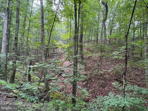 Vacant Land For Sale - Cacapon Retreat Lane<br/> Morgan County, GREAT CACAPON, WV 25422