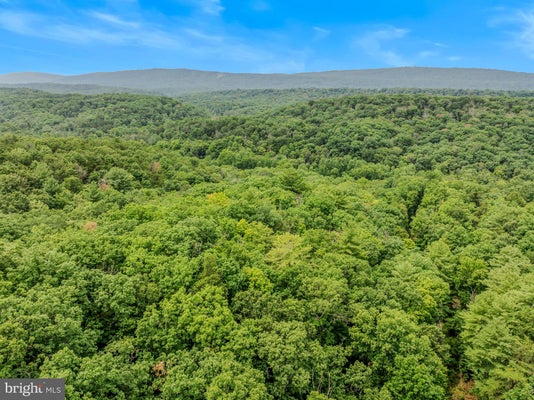 CACAPON RETREAT LN, GREAT CACAPON, WV 25422 - Image a961f0980c0fd53d080c7b2b4fc8a6c4/3077095564