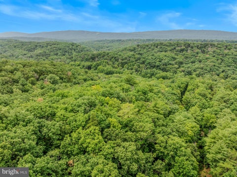 Vacant Land For Sale - Cacapon Retreat Lane<br/> GREAT CACAPON, WV 25422