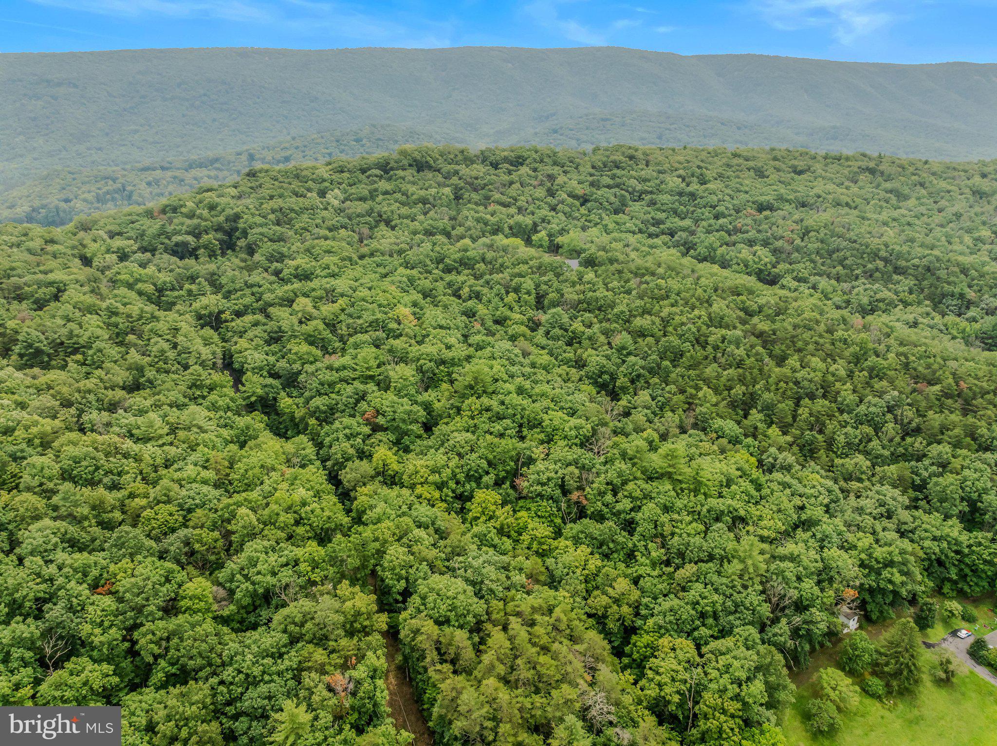 CACAPON RETREAT LANE
