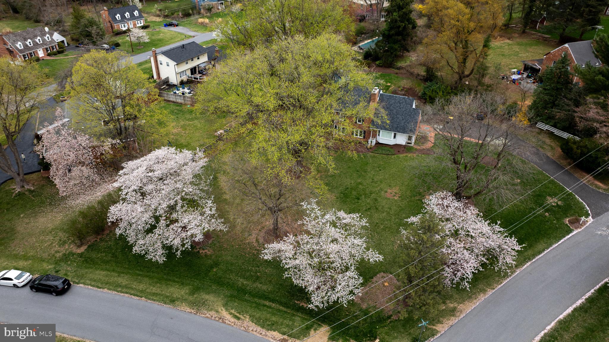 WILLIAMSBURG VILLAGE - Residential