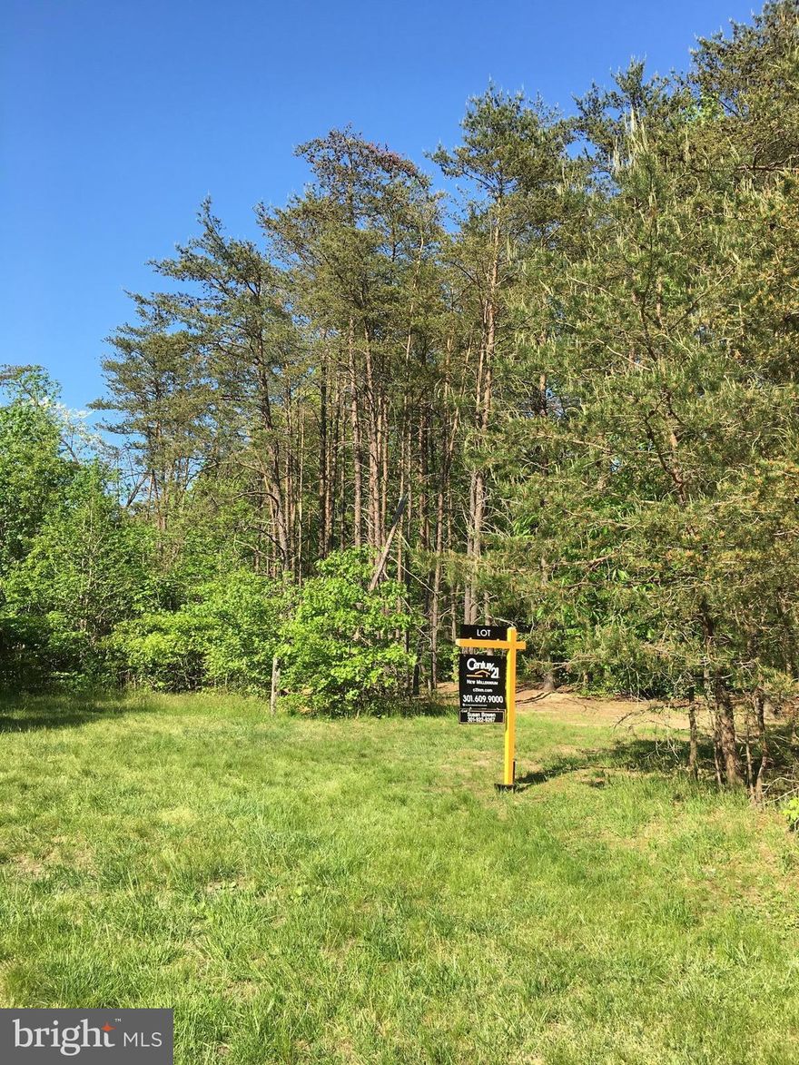 SPRING IS HERE!  Peaceful and private 21+ acre lot with approved perc.  Ready for you to build your new dream home and enjoy the sounds of nature complete with your own stream.  Plenty of land for your own vegetable/flower gardens and/or hunting.  Convenient location for ease of commuting.