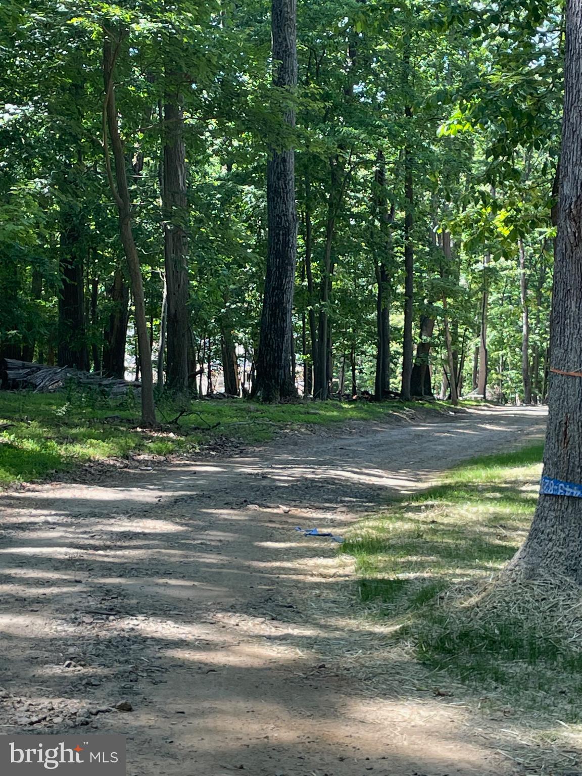 OREGON RIDGE - Residential Lease