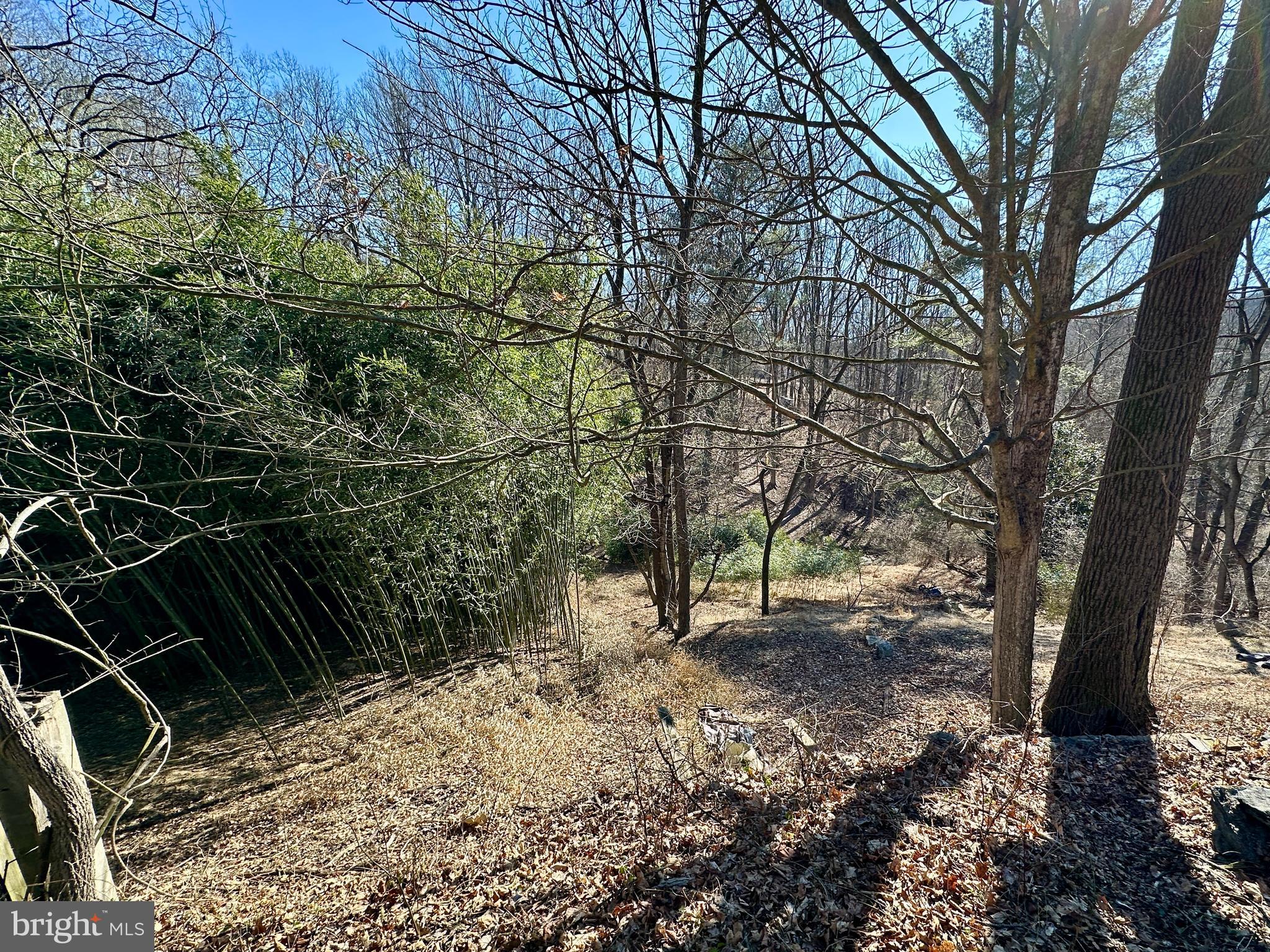 CATONSVILLE - Residential