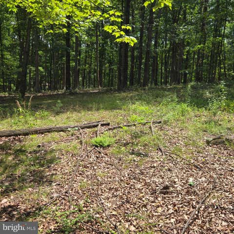 Vacant Land For Sale - LOTS 24 -25 Ashley Court<br/> Hampshire County, SHANKS, WV 26761