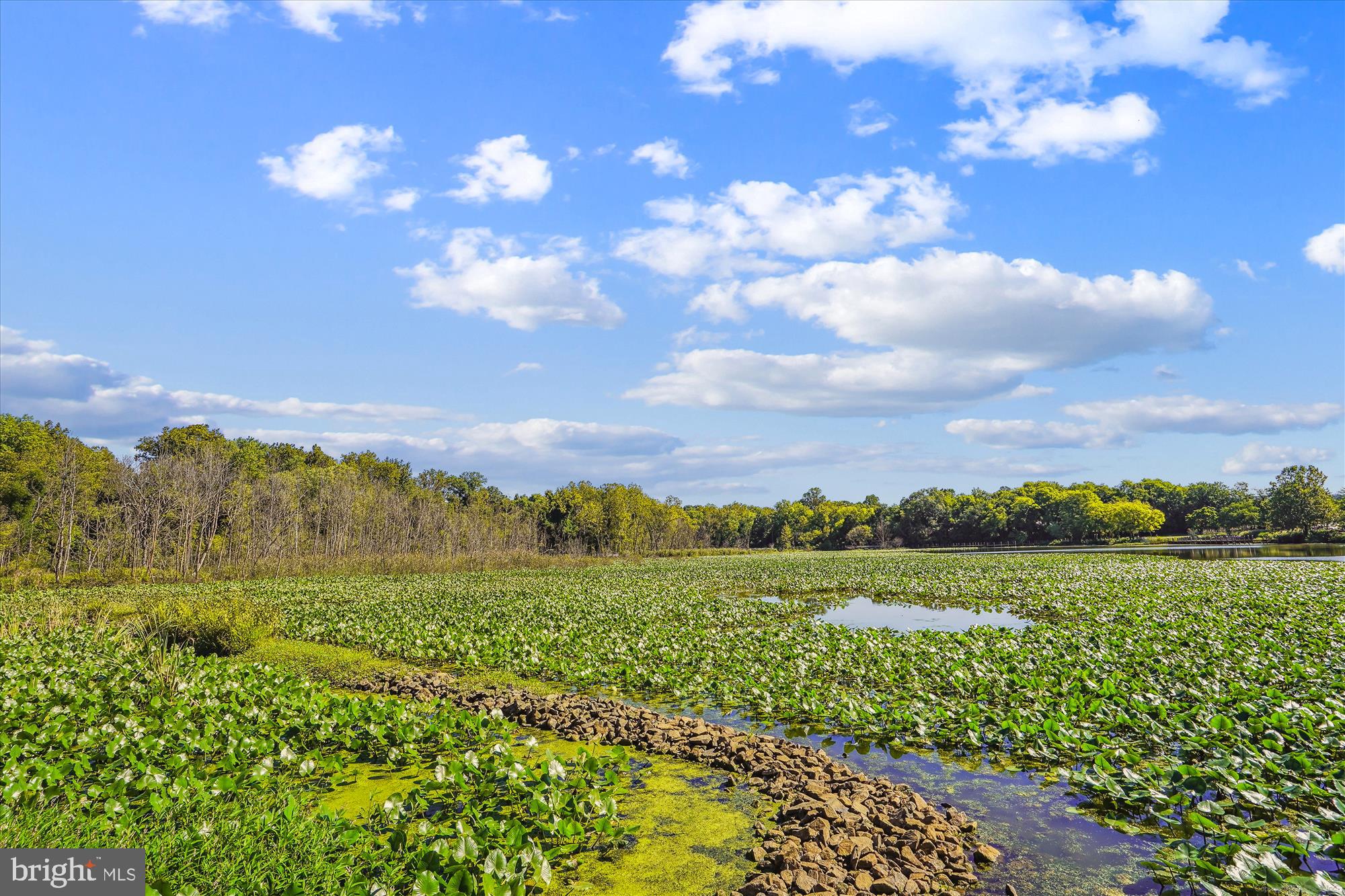MARLBOROUGH TOWNE - Residential