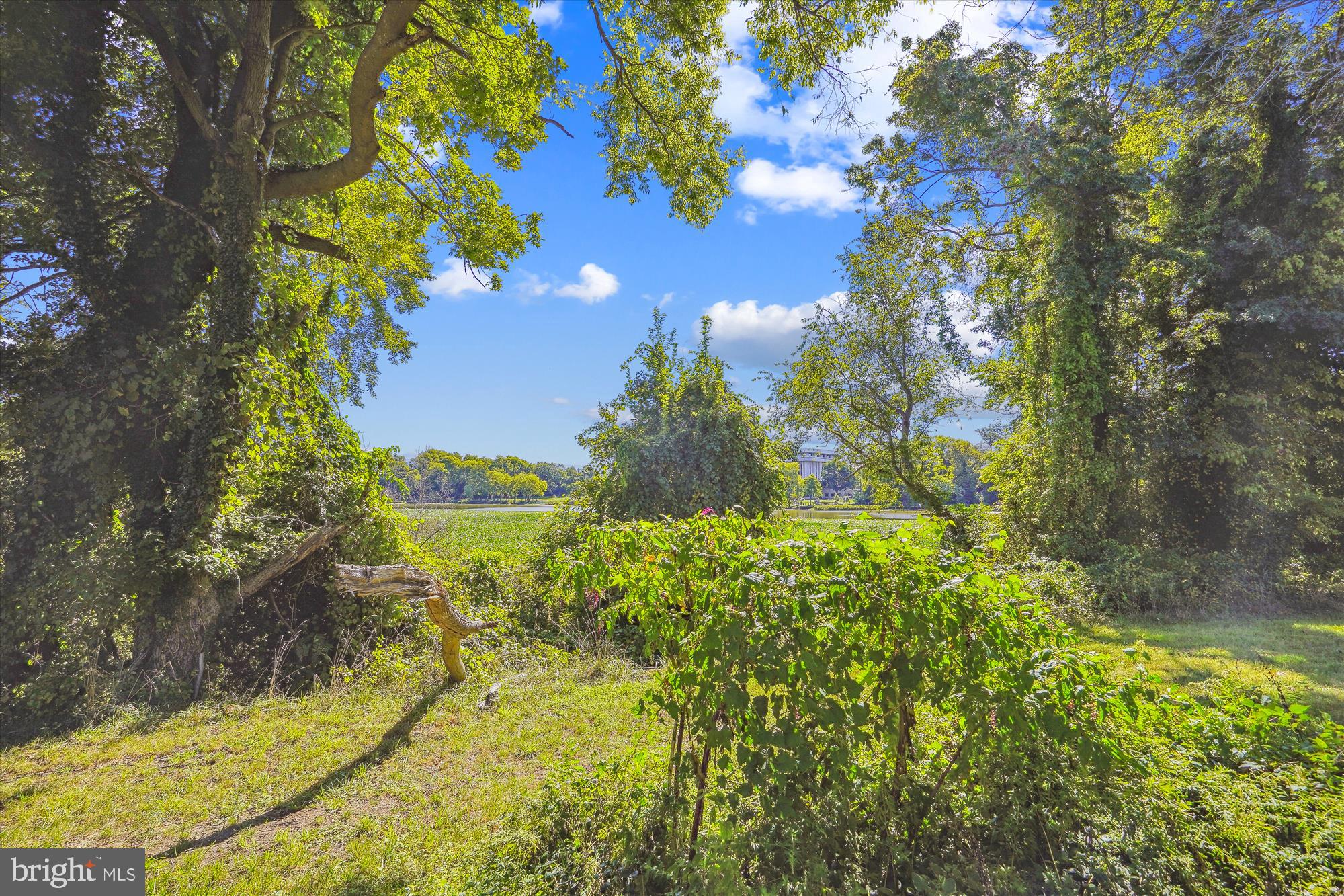 MARLBOROUGH TOWNE - Residential