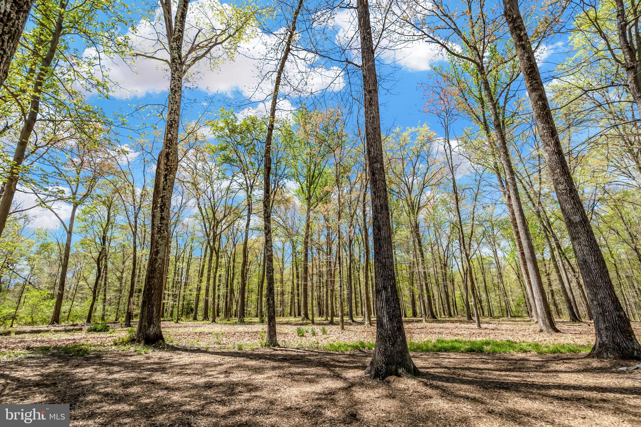 POPES HEAD VIEW - Residential