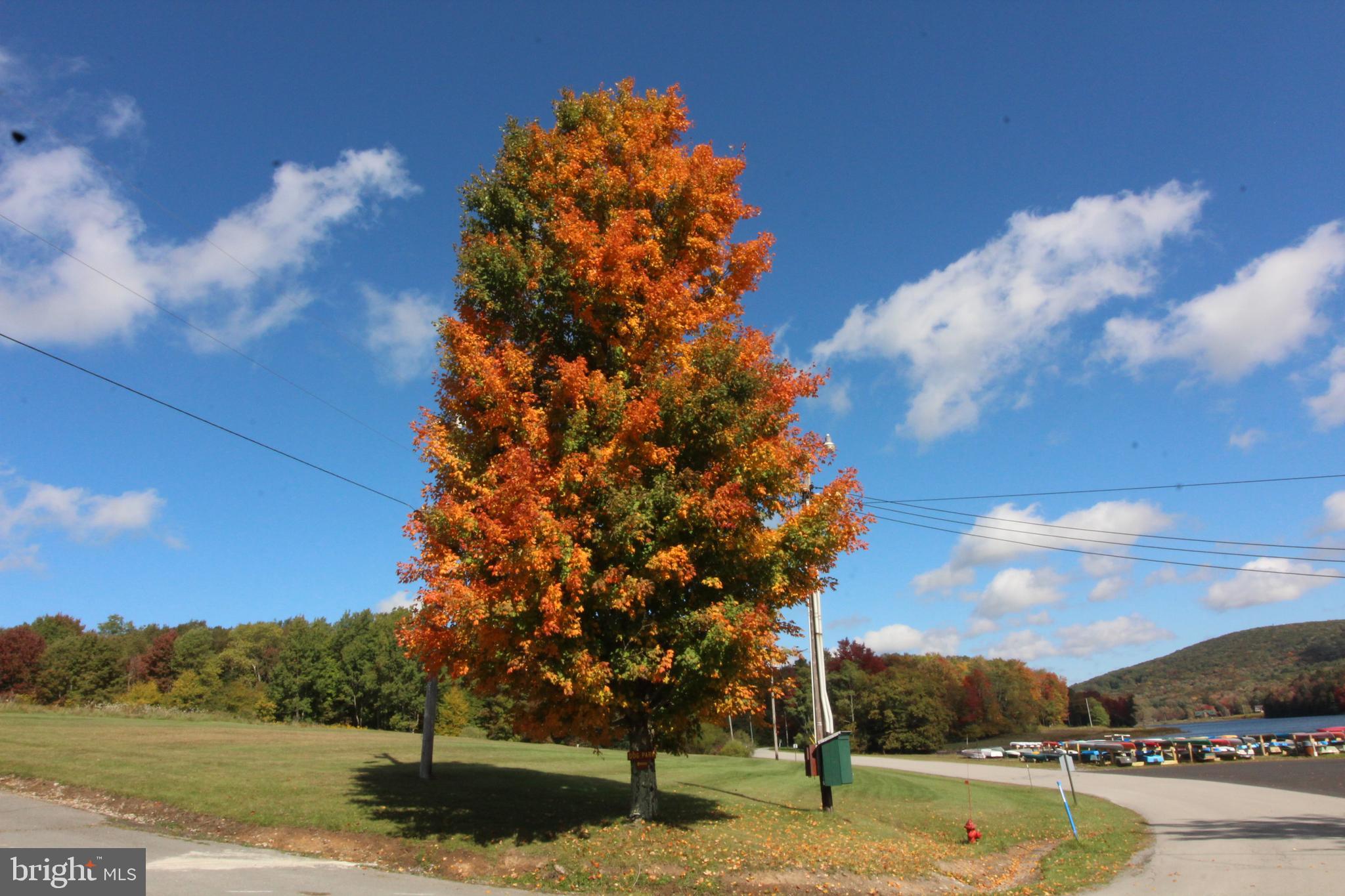 ALPINE LAKE RESORT - Residential