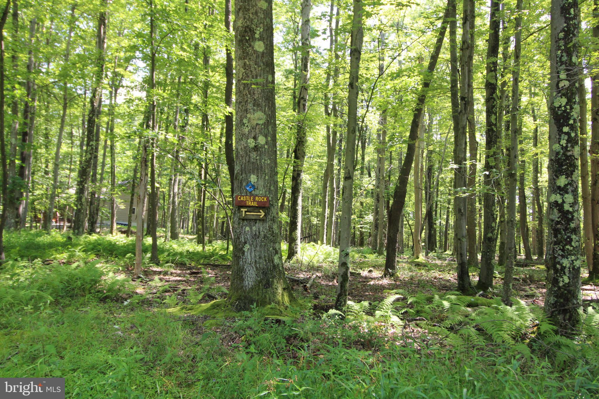 ALPINE LAKE RESORT - Residential