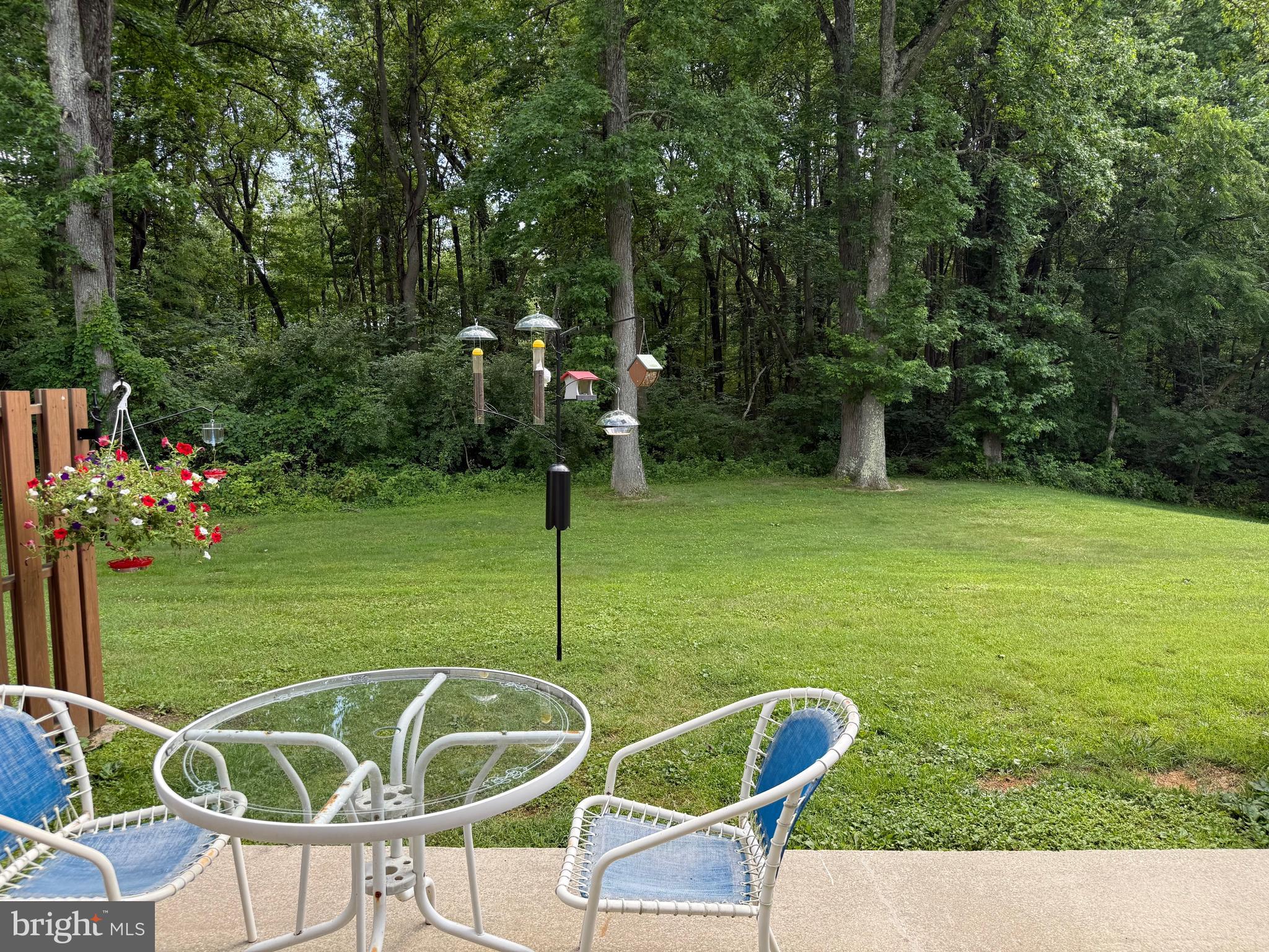 21317 PERSIMMON DRIVE