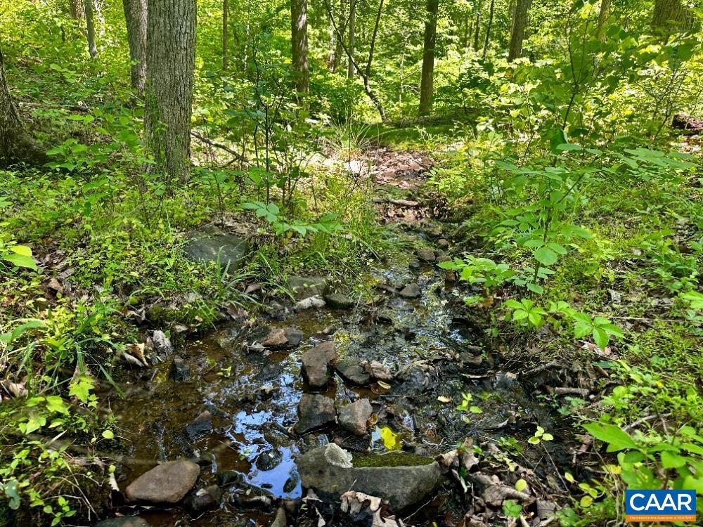 DUDLEY MOUNTAIN - Land