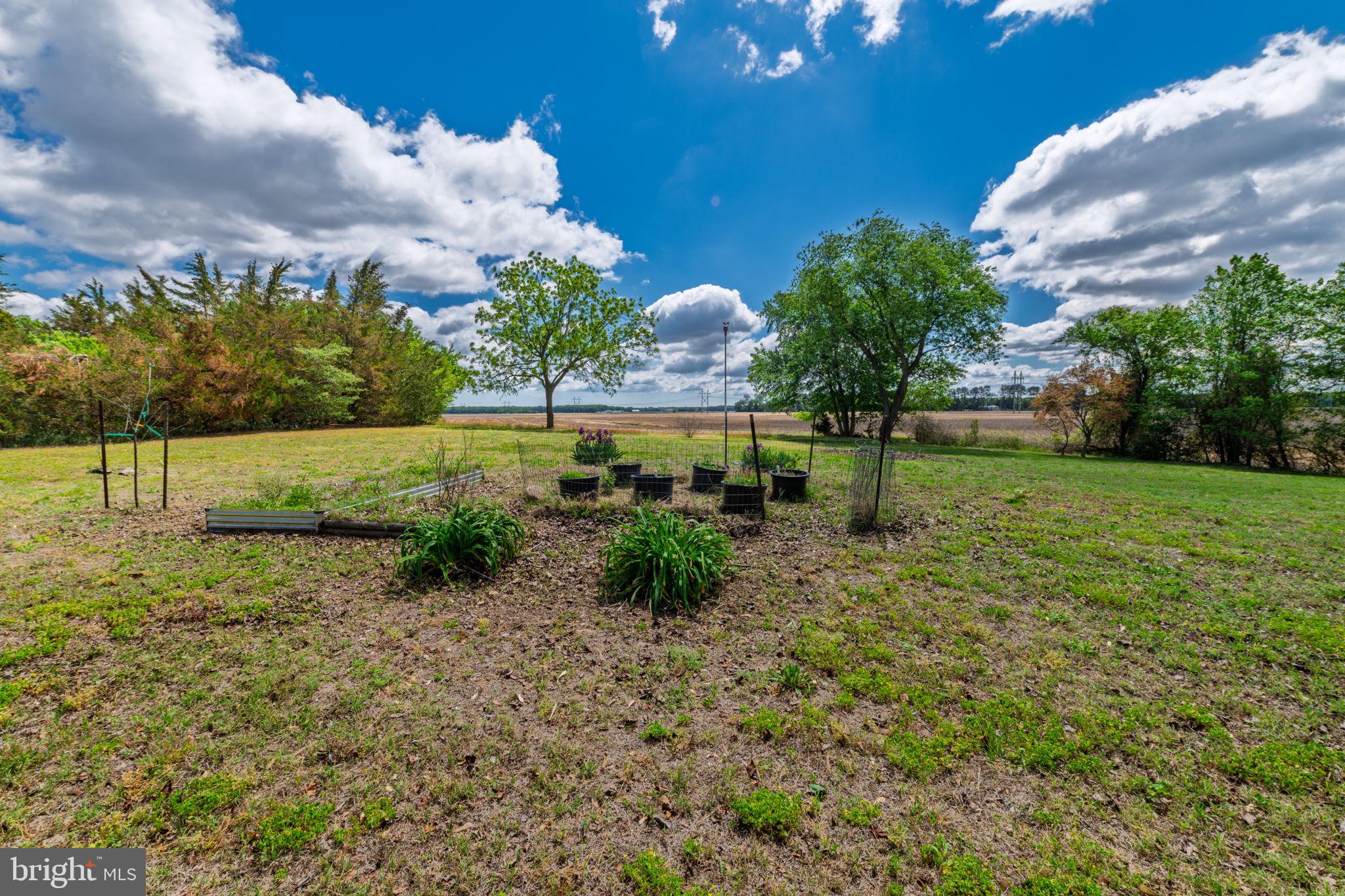 32517 MOLLY FIELD ROAD