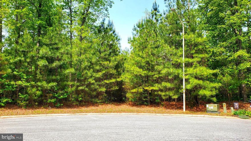 Welcome to the largest building lot in Rosewood Forest! This lot is the combination of 2 lots with one single annual HOA fee.  This 16.71 acre lot is perfect for building the dream home you've always wished of and does allow for horses. Located off of Fanleaf Court or Pristine Place, you can pick where you'd like your house to be built. No builder tie-in.  Well permit and perc already on file. Some forest conservation and non-tidal wetlands area on part the property. Buyer/buyer's agent to conduct due diligence on verifying with Wicomico County all info contained herein. All reasonable offers considered.