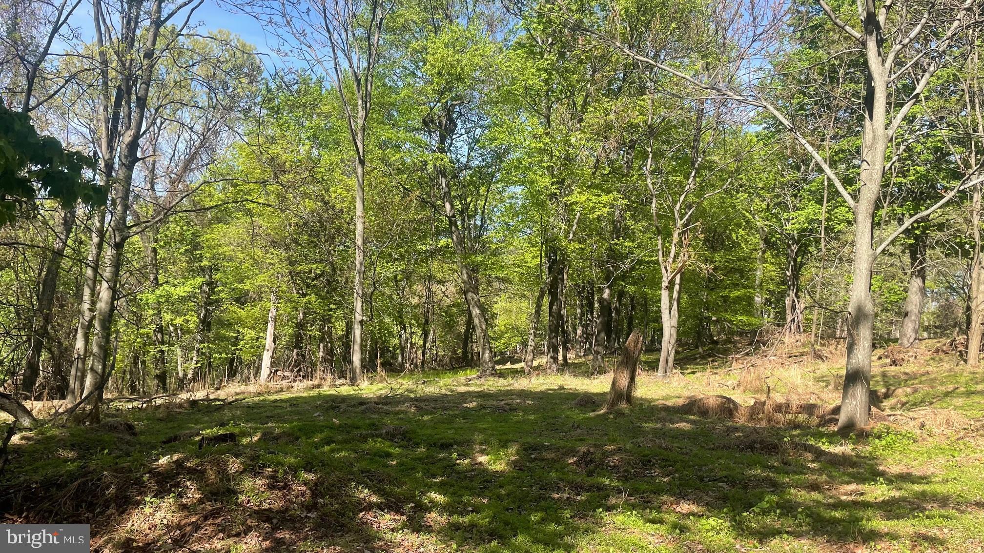 133.944 ACRES RUSSELLDALE ROAD