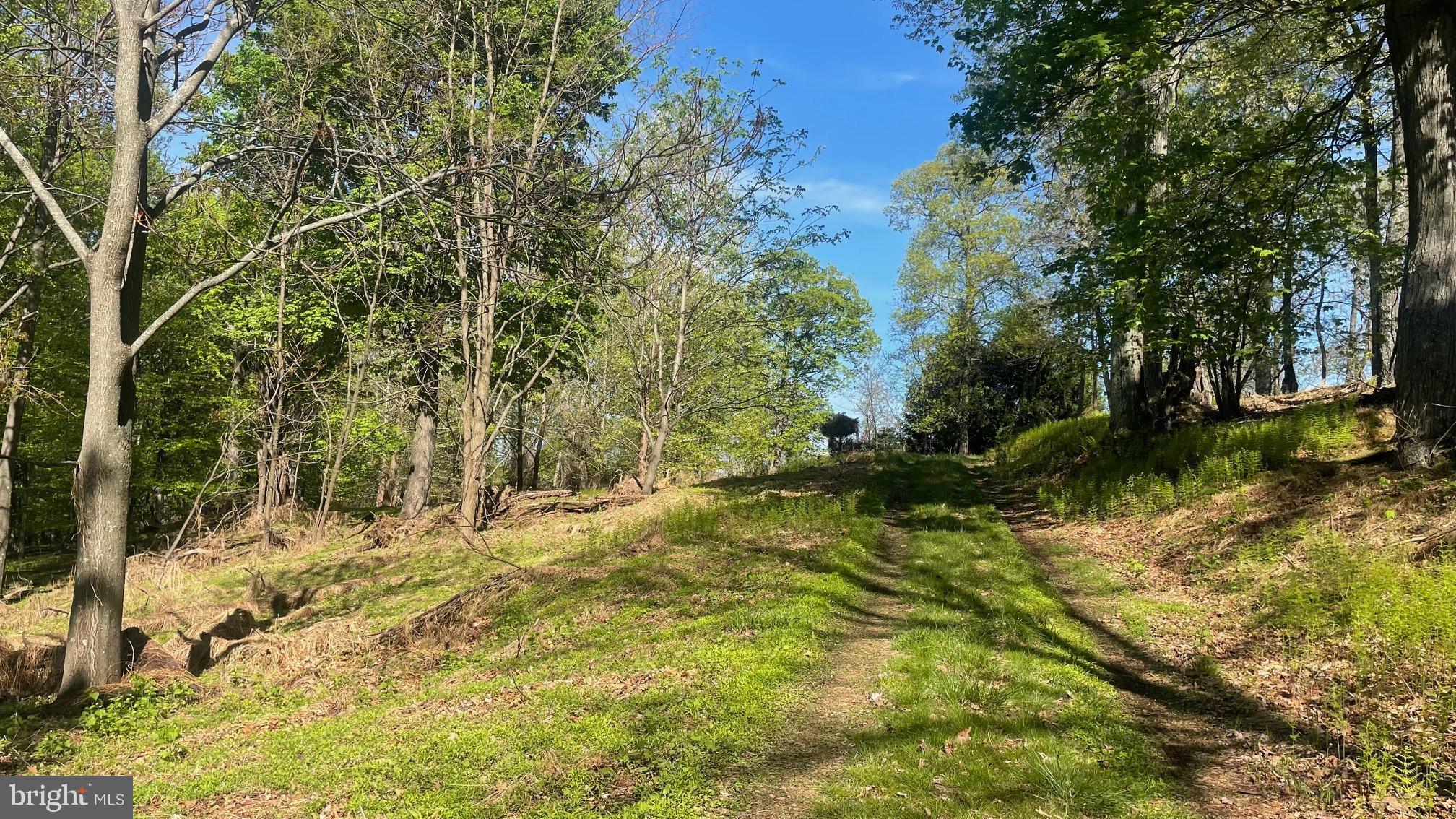 133.944 ACRES RUSSELLDALE ROAD