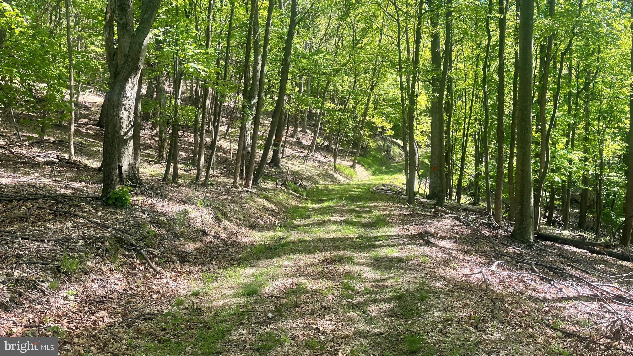 133.944 ACRES RUSSELLDALE ROAD