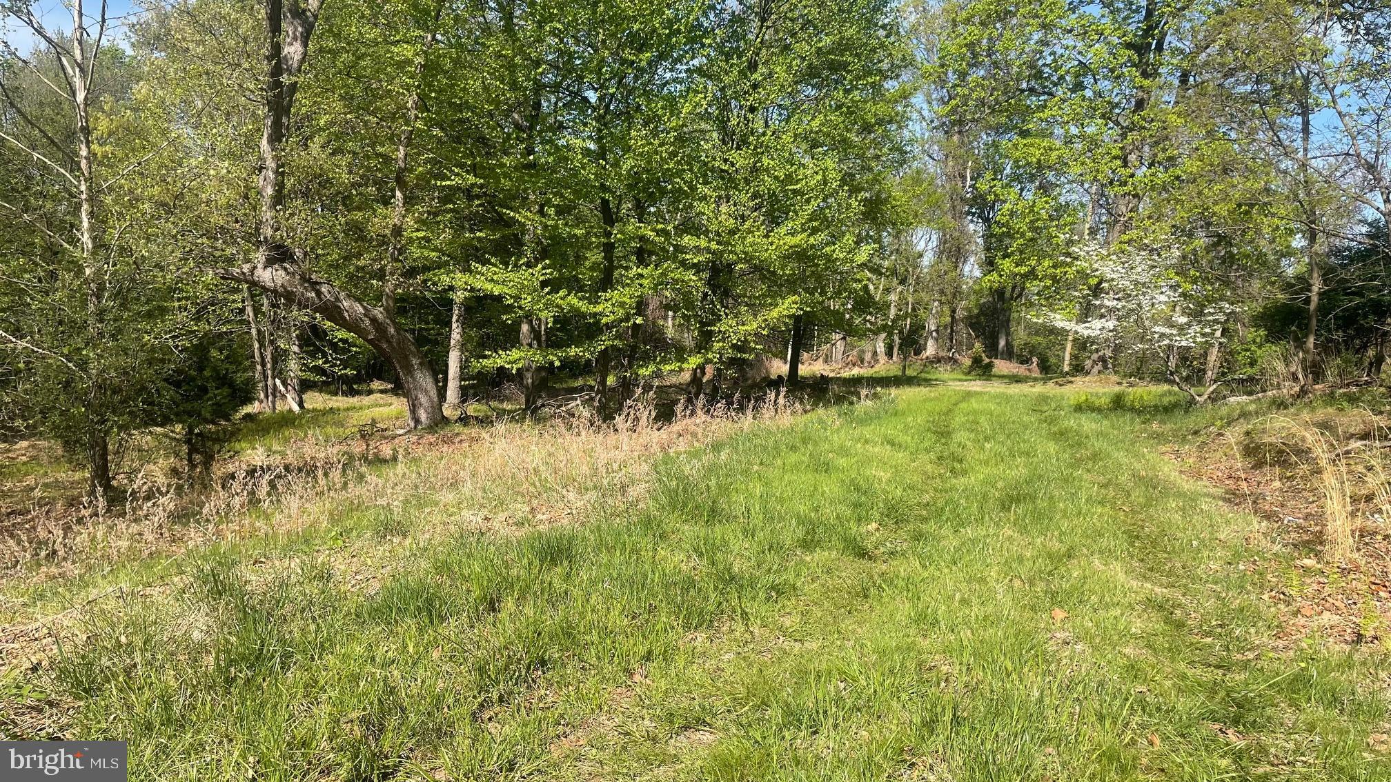 133.944 ACRES RUSSELLDALE ROAD