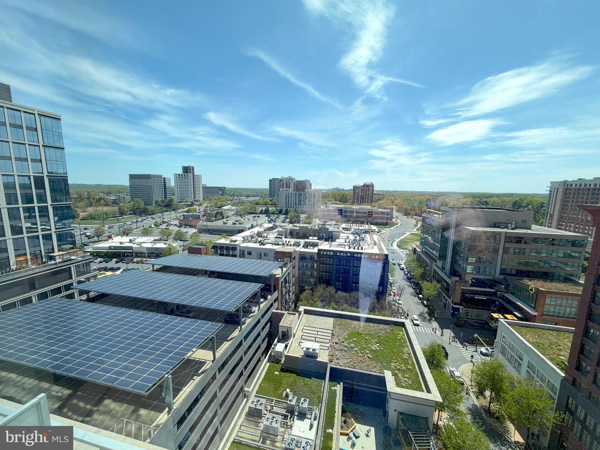 PIKE AND ROSE - Residential