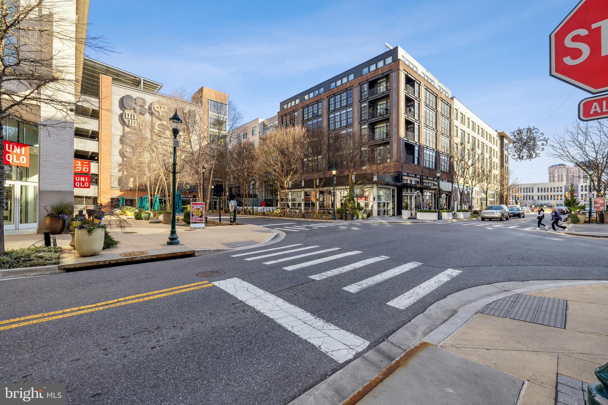 PIKE AND ROSE - Residential