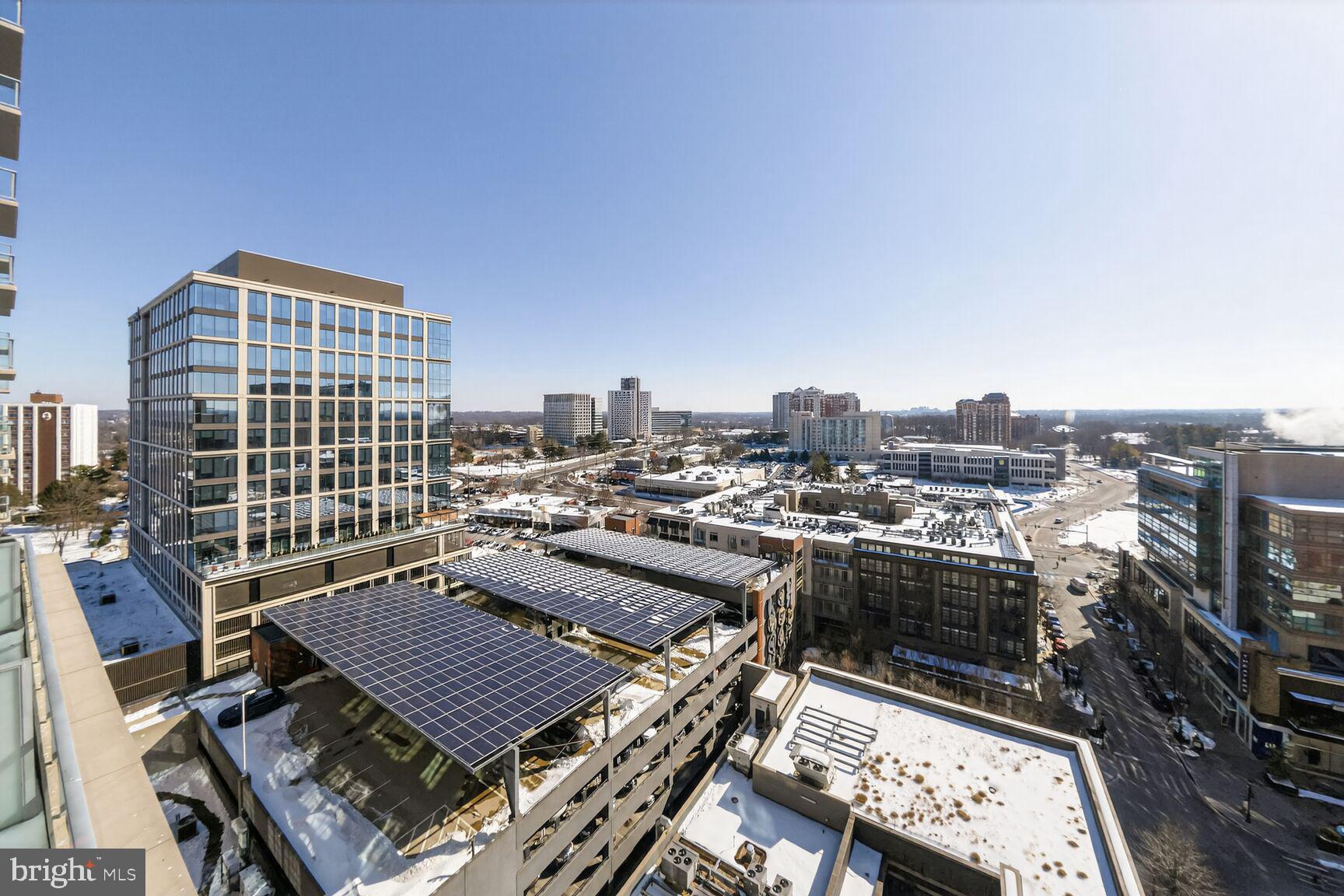 PIKE AND ROSE - Residential