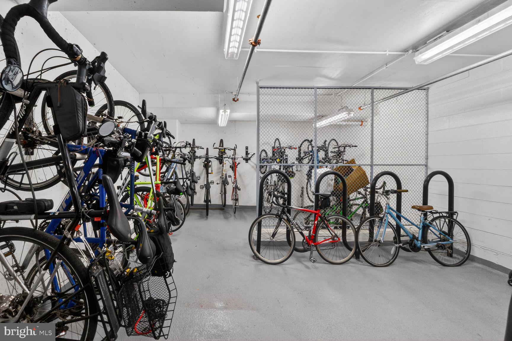 PIKE AND ROSE - Residential