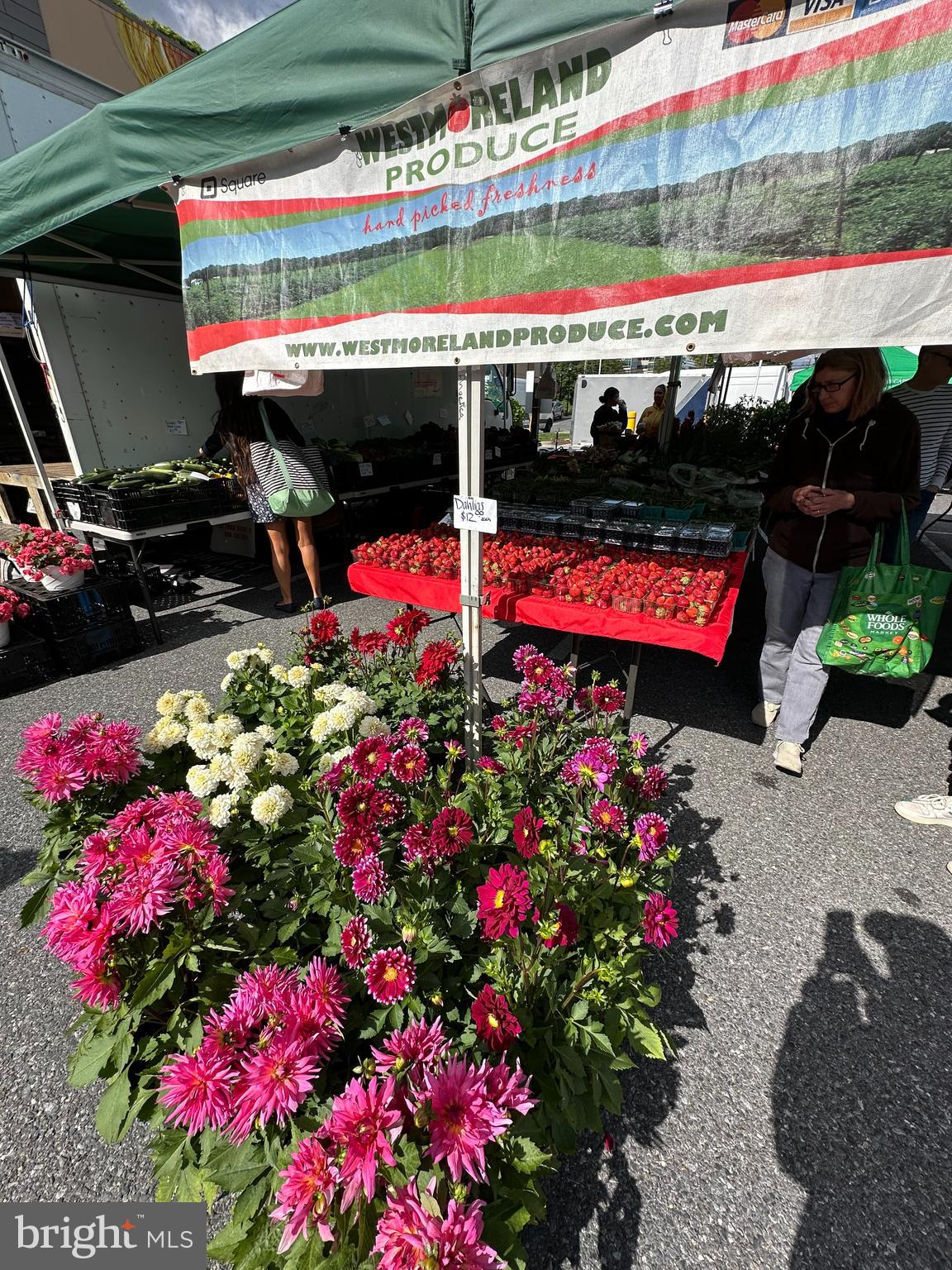 PIKE AND ROSE - Residential