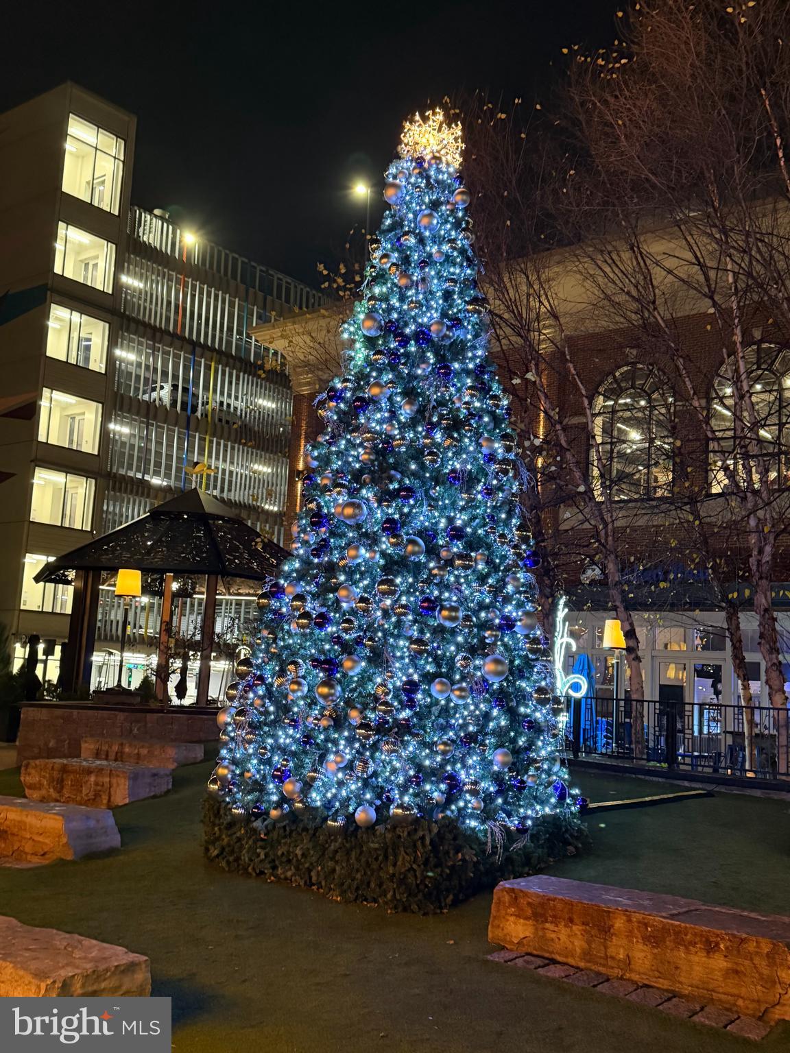 PIKE AND ROSE - Residential