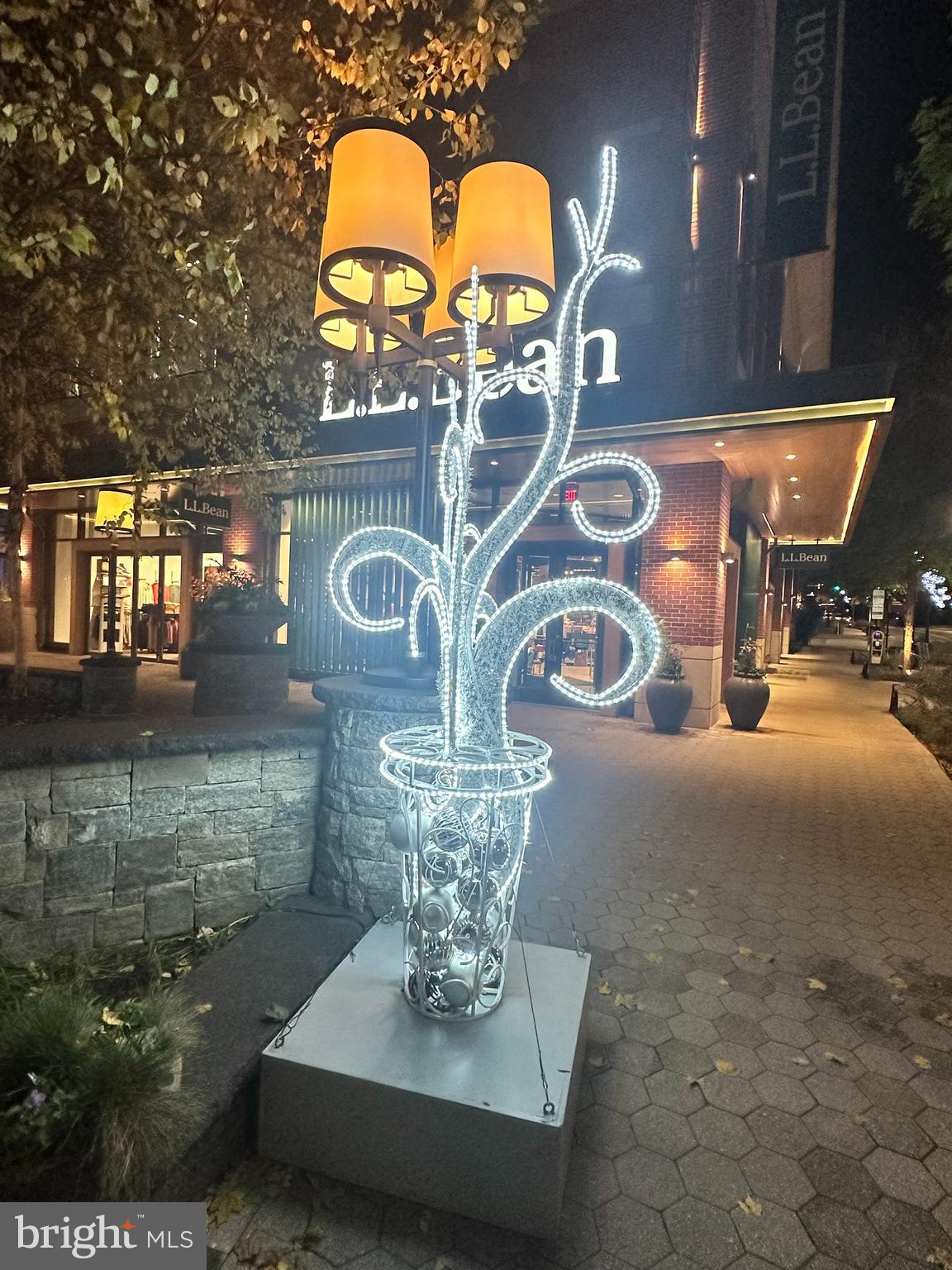 PIKE AND ROSE - Residential