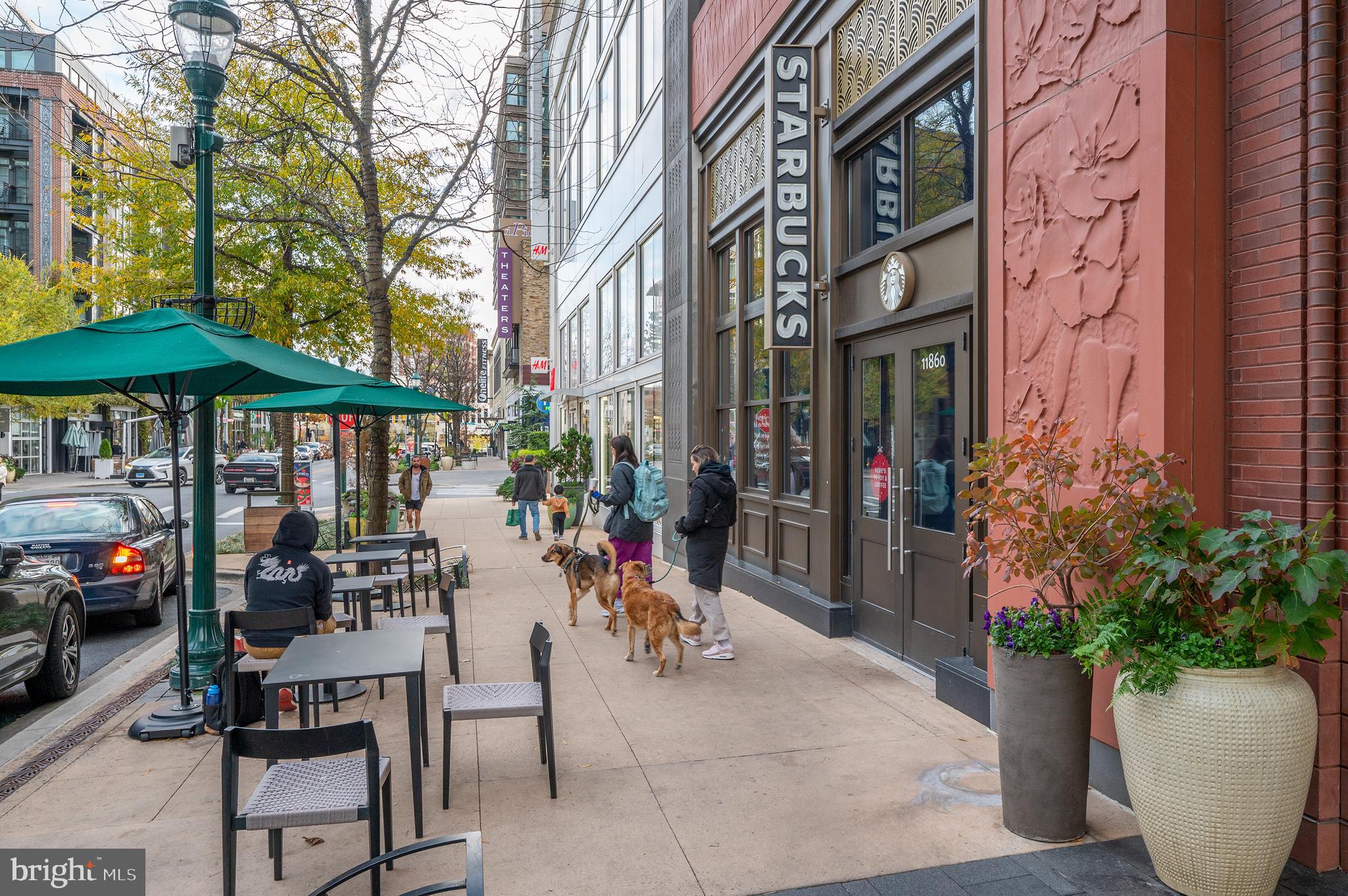 PIKE AND ROSE - Residential