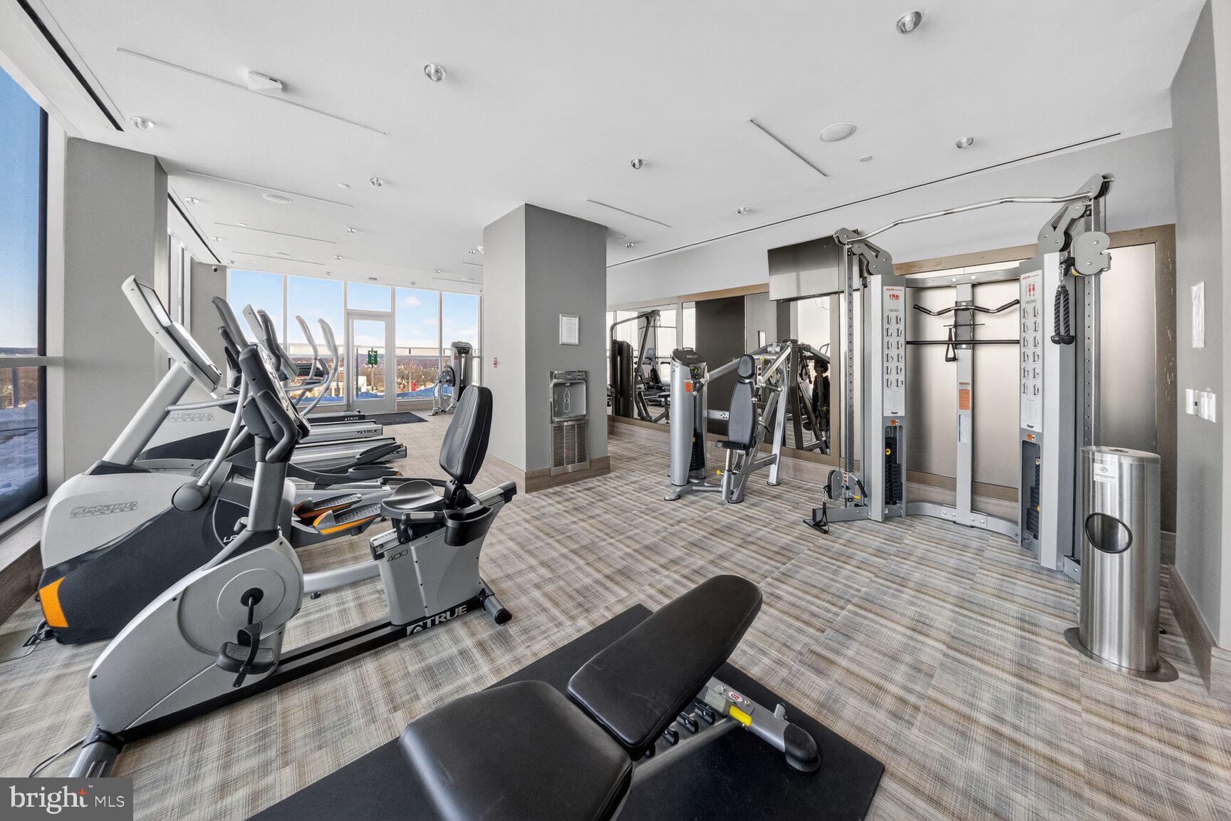 PIKE AND ROSE - Residential