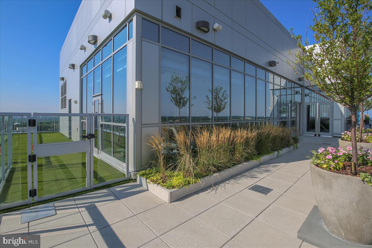 PIKE AND ROSE - Residential