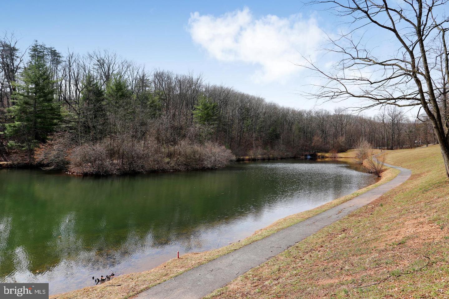 THE WOODS - Residential