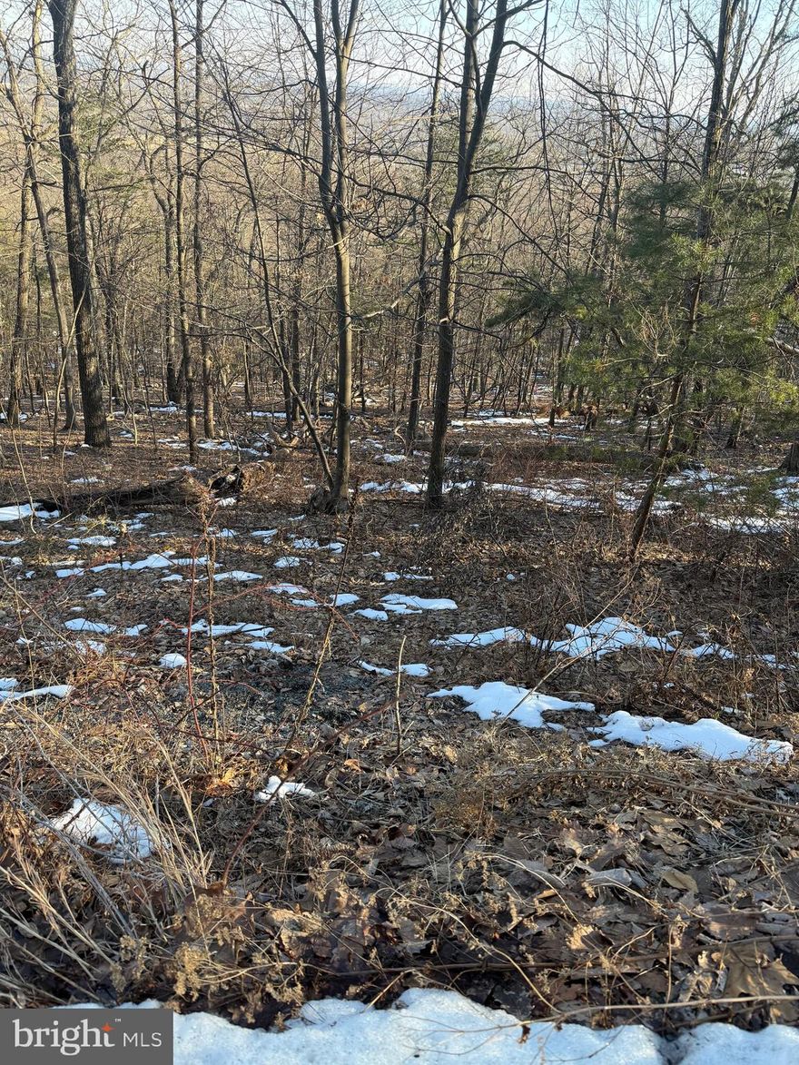 Little over 1/2 acre.  Build your retreat or full time home.  Water can be obtained by applying with the Prince William County Service Authority.  Please google and read Bull Run Mountain and Evergreen Water Supply Improvements Program
Lot is not surveyed or graded - Please see county tax records for more information