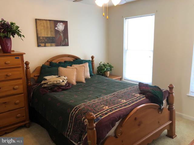 FOREST PARK - Residential