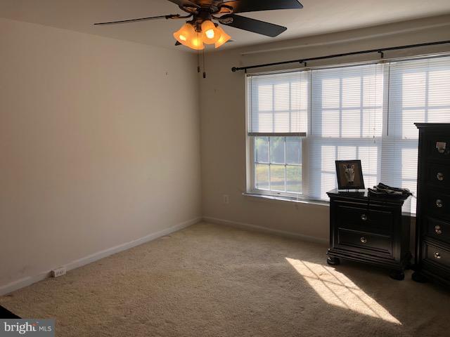 FOREST PARK - Residential