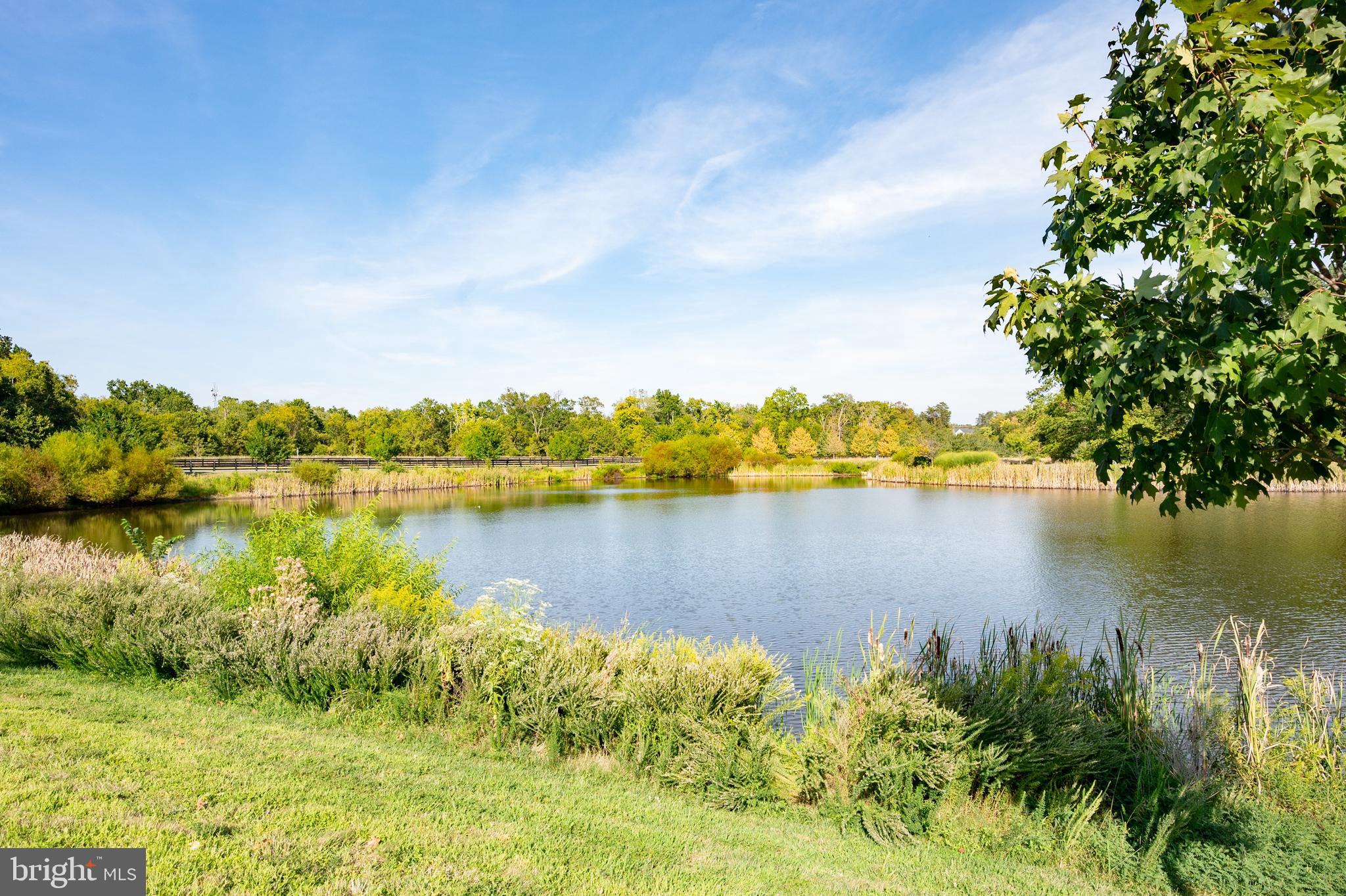 WILLOWSFORD - THE GREENS - Residential