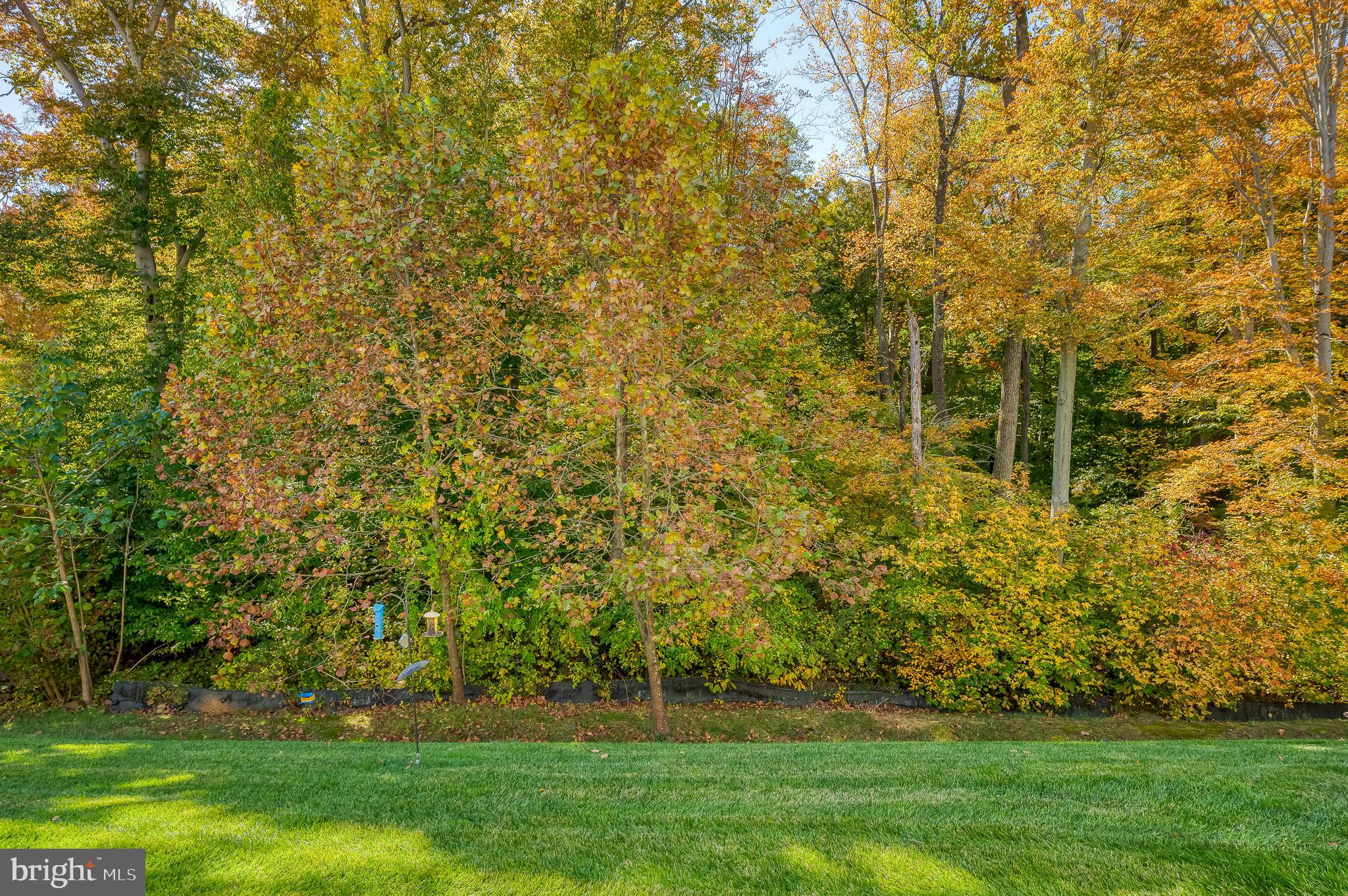 BULLE ROCK - Residential