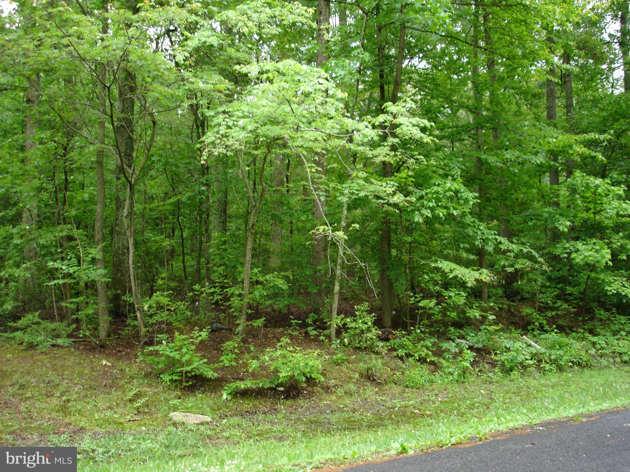 WALDORF MANOR SUB - Land