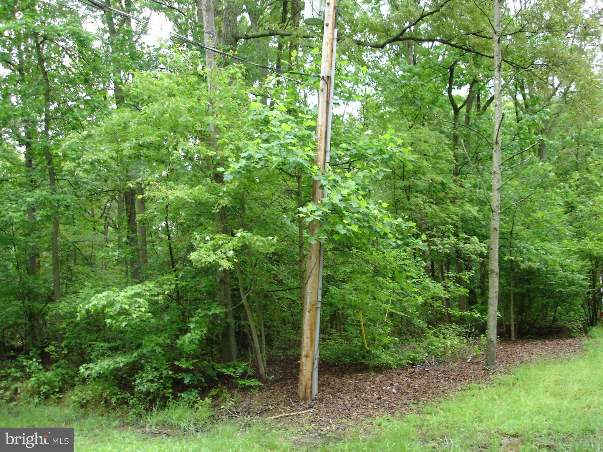 WALDORF MANOR SUB - Land