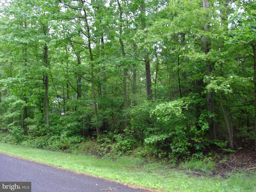 GET IN ON THE GROUND FLOOR--PUBLIC SEWER INSTALLATION IS PLANNED!!! SMALL QUIET, WOODED SINGLE-STREET NEIGHBORHOOD TUCKED AWAY FROM THE HUSTLE-BUSTLE, BUT JUST 5 MINUTES FROM THE MALL! ENJOY TRANQUIL LIVING WITHOUT BEING "IN THE MIDDLE OF NOWHERE"...FLAT, TREED LOT WILL WORK FOR MANY DIFFERENT STYLES & FLOOR PLANS--A RARE FIND--SEE IT FOR YOURSELF!