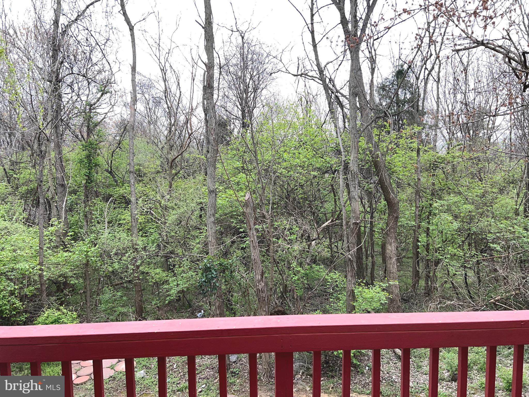 AMBER WOODS - Residential