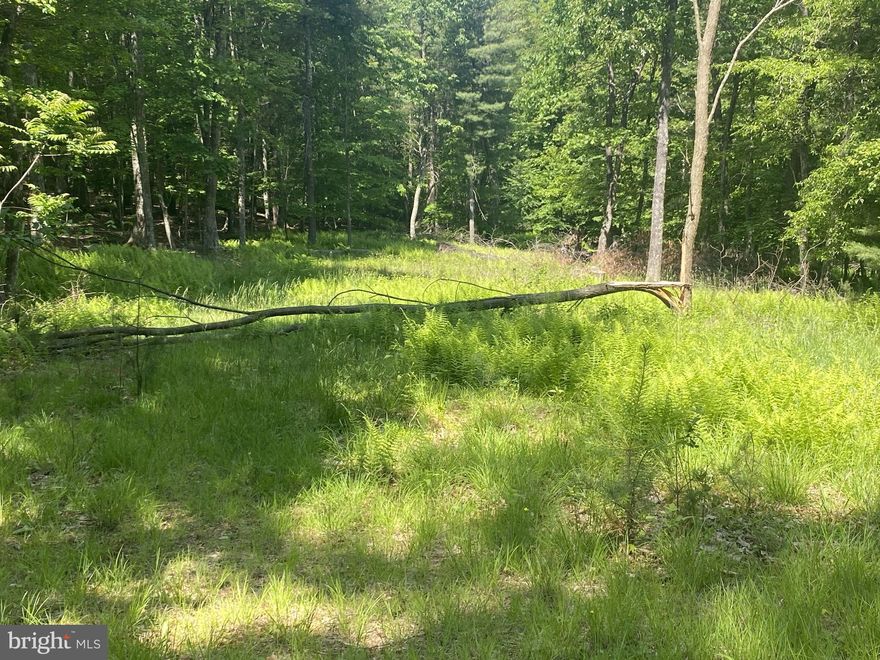 5.62 Acre lot, Easy Access year round. Electric nearby. Some Restrictions