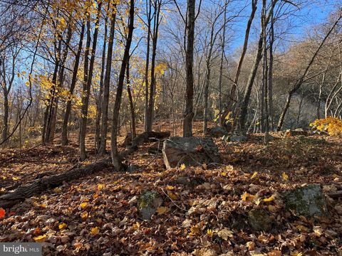 WILKES STREET EXTENDED BERKELEY SPRINGS WV 25411