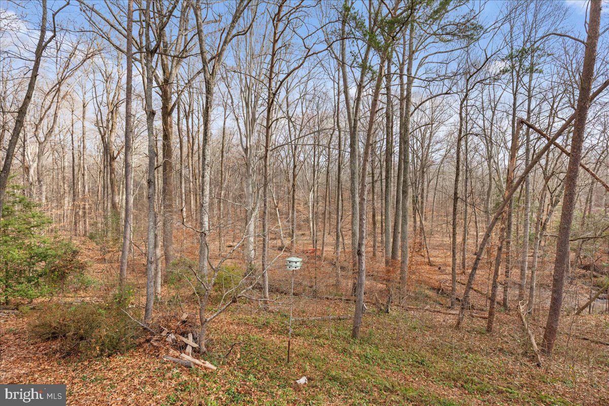 BILLINGSLEY PARK - Residential