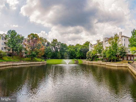 Condo For Sale - 4330-L Cannon Ridge Court #31<br/> FAIRFAX, VA 22033