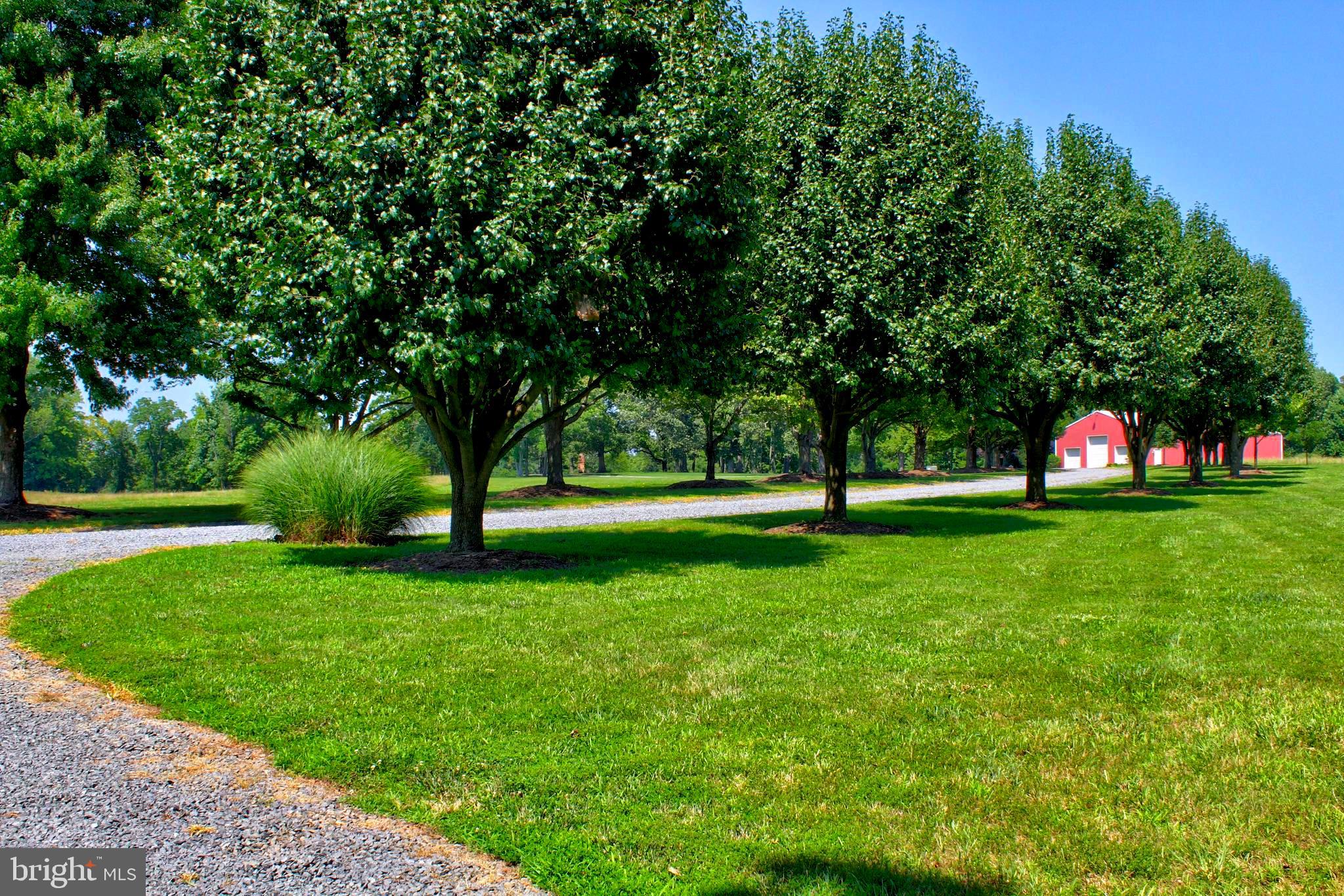 EAGLES NEST - Residential Lease