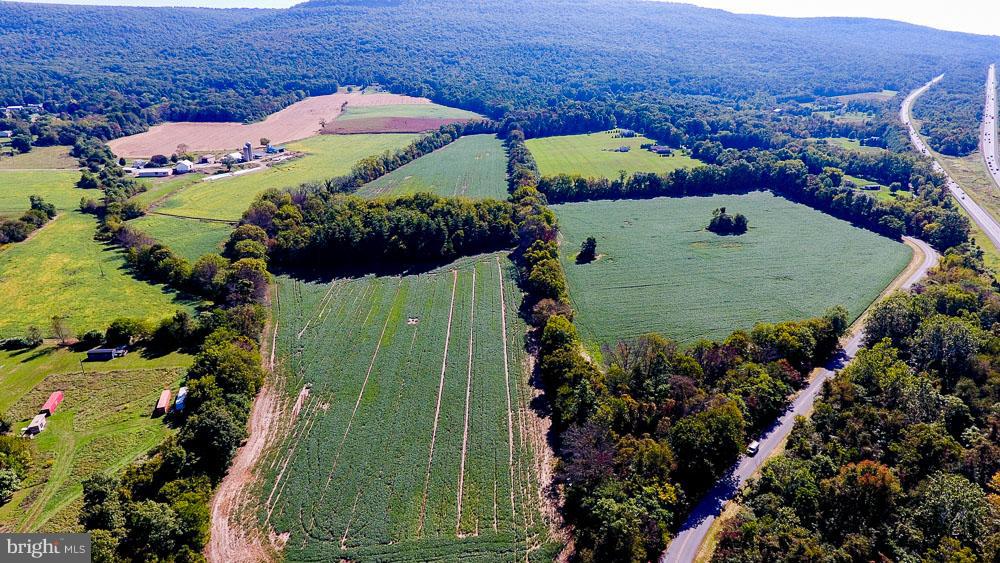 NONE AVAILABLE - Farm